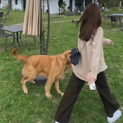 妥瑞氏与我